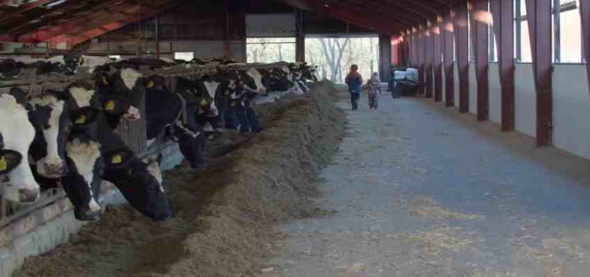 HARYANA NEWS: हरियाणा में इन पशुपालकों को मिला लाखों का इनाम, देखें पूरी लिस्ट