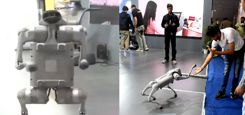 AI समिट में चीनी रोबोट डॉग पेश करने को लेकर हुआ विवाद, गलगोटियास यूनिवर्सिटी ने दी सफाई