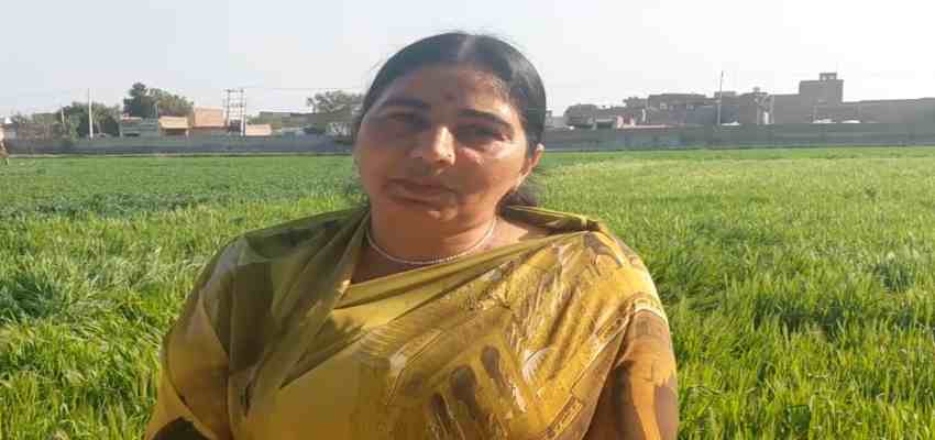 
							HARYANA NEWS: हरियाणा की पहली ड्रोन दीदी बनी बिमला सिंवर, पीएम ने दिया नायाब तोहफा, जानिए उनके सफर के बारे में