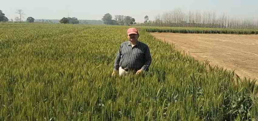 HARYANA NEWS: हरियाणा के किसान की अनोखी पहल, प्राकृतिक खेती से बदल दी अपनी किस्मत, बने मिसाल