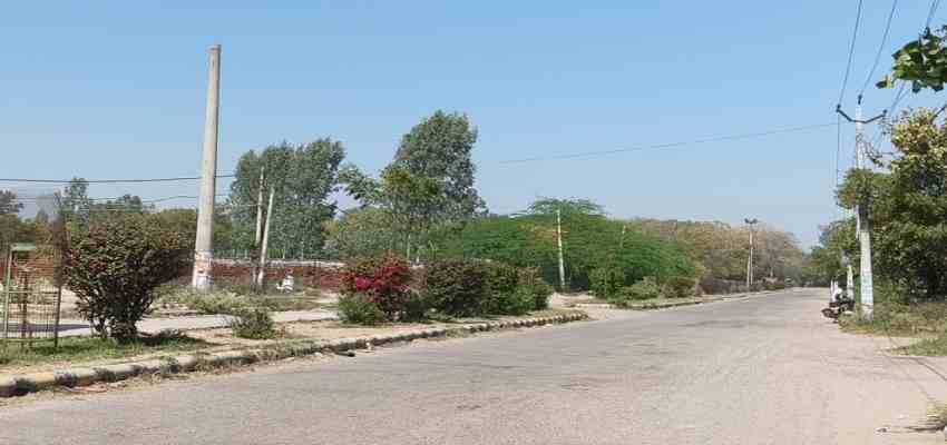 हरियाणा में समय से पहले गर्मी का कहर, जनजीवन हुआ प्रभावित, किसानों को मौसम विभाग दी जरूरी सलाह