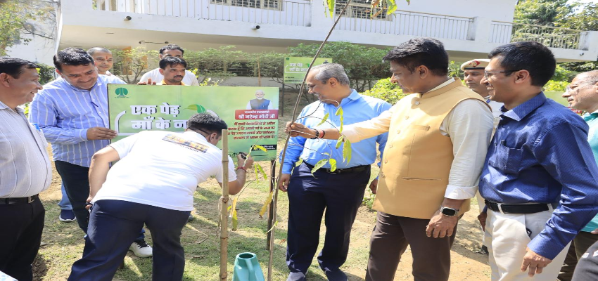 NDMC उपाध्यक्ष कुलजीत चहल ने शुरु किया पौधारोपण कार्यक्रम, पीएम मोदी आह्वान की सराहना की