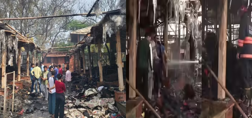 दिल्ली के नेचर बाजार में लगी भीषण आग, करीब 50 दुकानें जलकर खाक