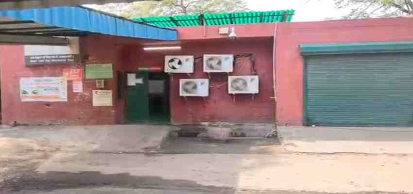 Haryana News: इलाज के बाद घर जा रहे थे, रास्ते में हुआ हादसा, मां की मौत; बेटा जिंदगी से लड़ रहा जंग