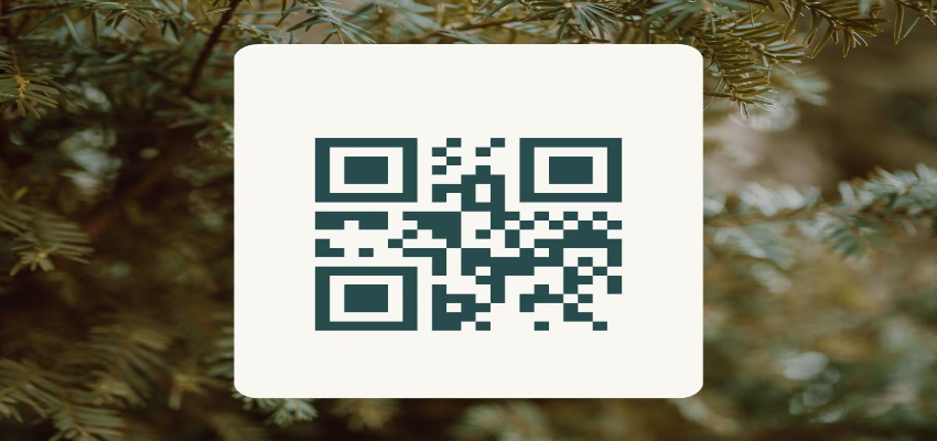 दिल्ली की सड़कों पर क्यों लगेंगे क्यूआर कोड? आपके लिए जानना है जरूरी, मिलेगी इस चीज की जानकारी