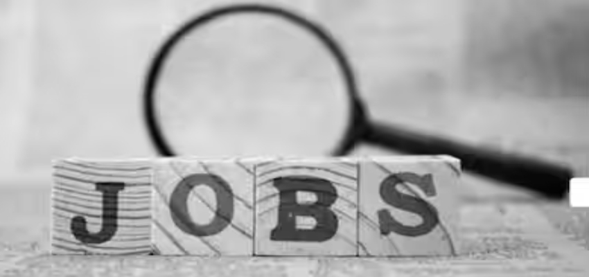 
							DSSSB Vacancy 2026: सरकारी नौकरी करने का सपना होगा पूरा, इस विभाग ने निकाली 900+ पदों पर भर्ती, तुरंत करें अप्लाई