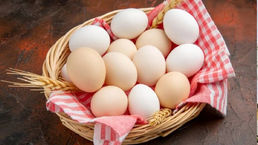 साधारण-सा अंडा बना खास...10 रुपये का एक अंडा 25 हजार में नीलाम, वजह जान चौंक जाएंगे