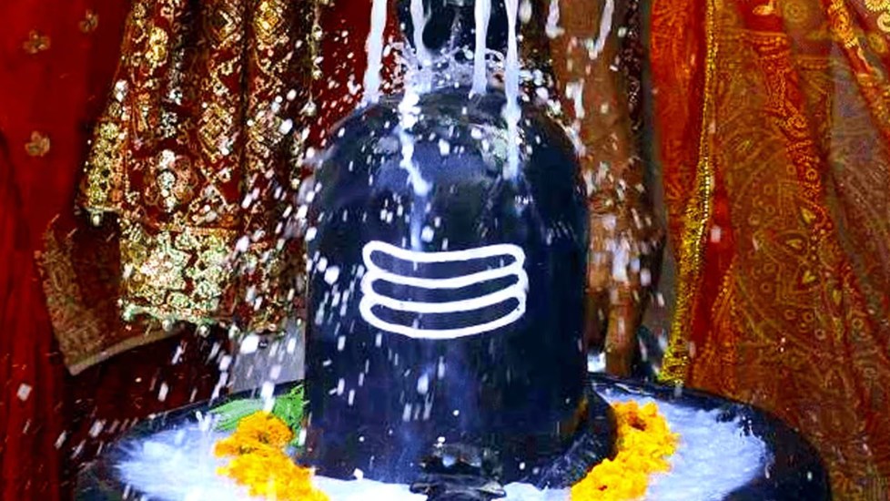 स्पेशल
