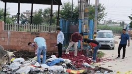 Delhi News: दिल्ली में नवजात का सिर कटा शव मिलने से सनसनी, CCTV फुटेज खंगाल रही पुलिस