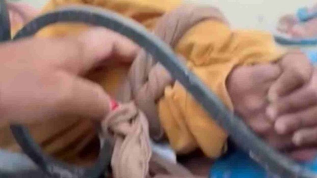 Punjab News: फरीदकोट में महिला एएसआई की दरिंदगी, पोती को हाथ-पैर बांधकर गेट से बांधा, पुलिस विभाग ने किया सस्पेंड
