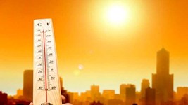 Heatwave:आसमान से बरस रही आग! भीषण गर्मी में 7 की मौत, कई जगह पारा 45 डिग्री के पार