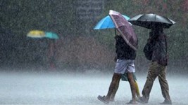 IMD Alert: यूपी-बिहार में आंधी-तूफान संग भारी बारिश, दिल्ली-हरियाणा में मौसम लेगा करवट