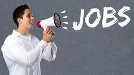 Haryana Jobs Update: युवाओं के लिए खुशखबरी! हरियाणा सरकार ने निकाली 2397 कंडक्टर पदों पर भर्ती, यहां जानें पूरा ब्योरा