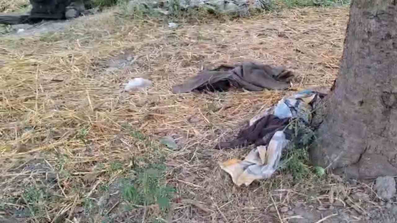 Uttarakhand News: हल्द्वानी के टांडा रेंज में हाथी का हमला, दो की गई जान