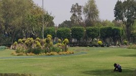 दिल्ली वालों के लिए खुशखबरी! DDA के इन पार्कों में मिलेगी फ्री एंट्री, जानें नए नियम