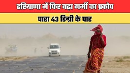 Haryana Weather: हरियाणा में फिर बढ़ा गर्मी का प्रकोप, पारा 43 डिग्री के पार