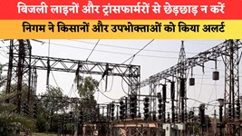 Haryana News: बिजली लाइनों और ट्रांसफार्मरों से छेड़छाड़ न करें, निगम ने किसानों और उपभोक्ताओं को किया अलर्ट