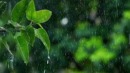 Kal Ka Mausam: कई राज्यों में 12 अक्टूबर को भारी बारिश के आसार,  किसानों के साथ कई लोगों की बढ़ सकती है परेशानी