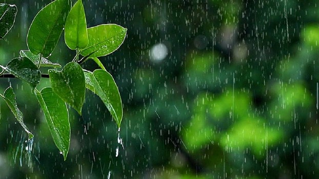 Kal Ka Mausam: कई राज्यों में 12 अक्टूबर को भारी बारिश के आसार,  किसानों के साथ कई लोगों की बढ़ सकती है परेशानी
