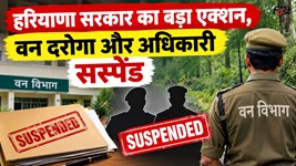 हरियाणा सरकार का बड़ा एक्शन, वन दरोगा और अधिकारी सस्पेंड, सीएम विंडो की शिकायत पर एक्शन