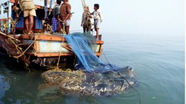 केरल में 2015 से अब तक समुद्री हादसों ने छीनी 469 मछुआरों की जानें, 160 लापता; 48,000 का हुआ बचाव