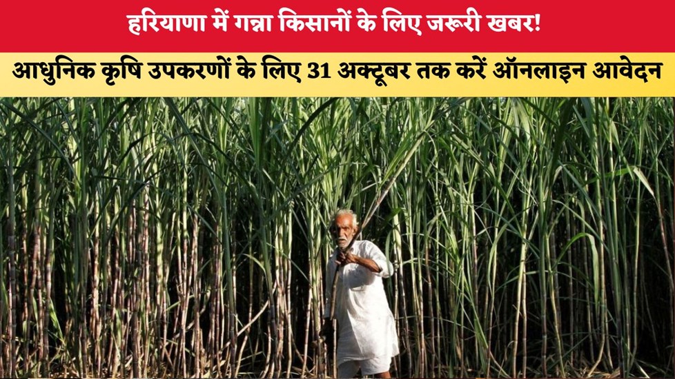 Haryana News: गन्ना किसानों के लिए जरूरी खबर! आधुनिक कृषि उपकरणों के लिए 31 अक्टूबर तक करें ऑनलाइन आवेदन
