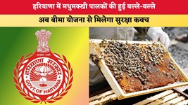 Haryana News: हरियाणा में मधुमक्खी पालकों की हुई बल्ले-बल्ले, अब बीमा योजना से मिलेगा सुरक्षा कवच