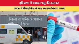 हरियाणा में स्वाइन फ्लू की दस्तक! NCR में सैकड़ों केस के बाद स्वास्थ्य विभाग अलर्ट